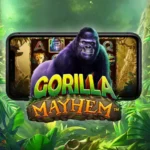 gorilla mayhem pragmatic