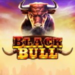 black bull pragmatic