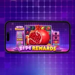 ripe rewards pragmatic